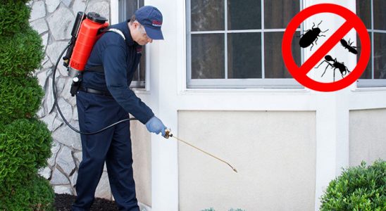 Bandırma Fare İlaçlama böcek ilaçlama ve haşere kontrolü — ilaclama-tr.com